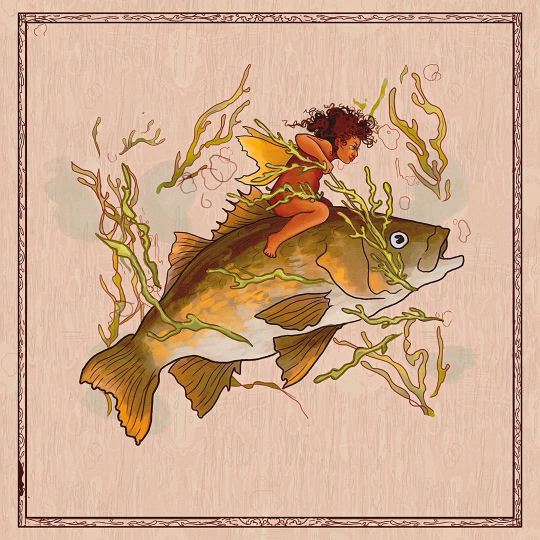 Bass Water Fairies | Hahnemühle German Etching Print